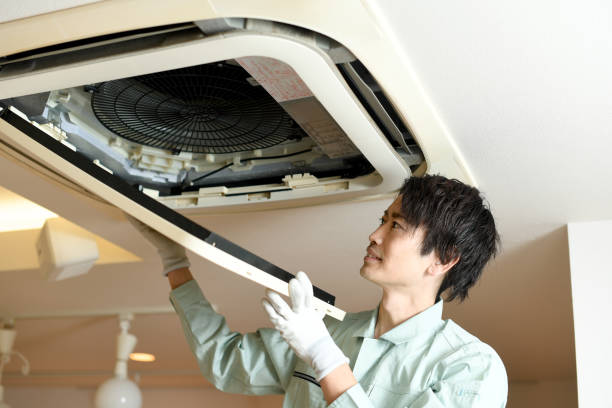 Air Duct Mold Removal in White Oak, MD